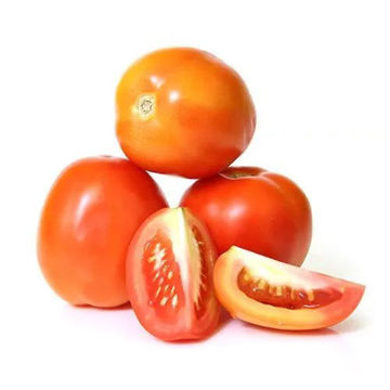 Buy Tomato Online