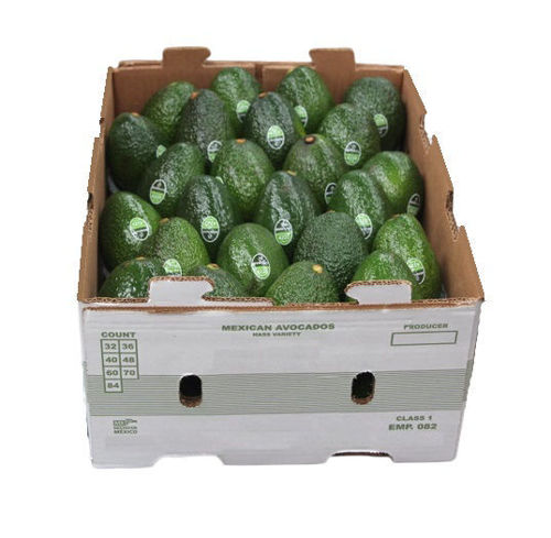 Buy Avocado Hass Box Online