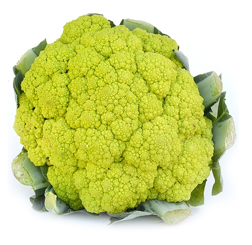 Buy Cauliflower Green Online