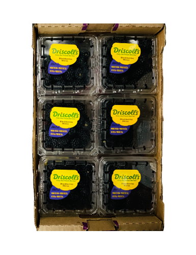 Buy Blackberries Box Online