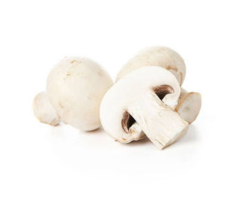 Buy White Mushroom Online