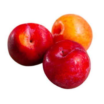 Buy Plums Laetitia Online