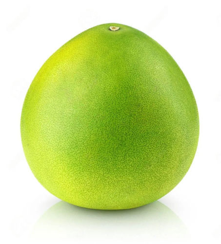 Buy Pomelo White Online