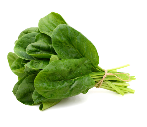Buy Sabanak Leaves Online