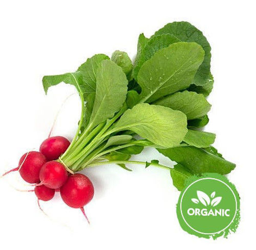 Buy Organic Radish Red With Leaves Online