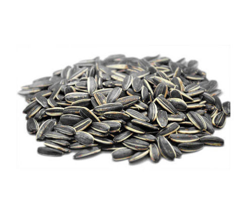 Buy Sunflower Seeds Salted Online