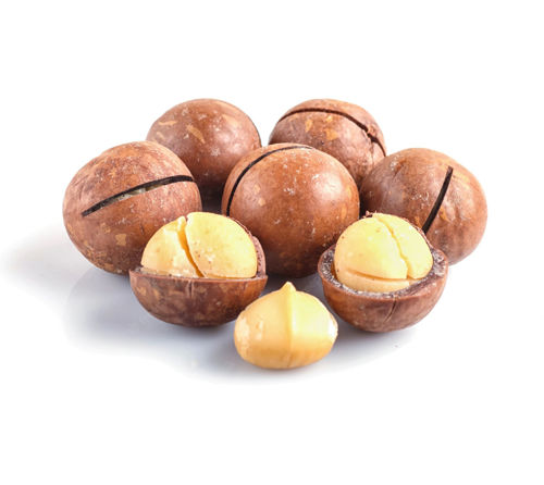 Buy Macadamia With Shell Roasted Online