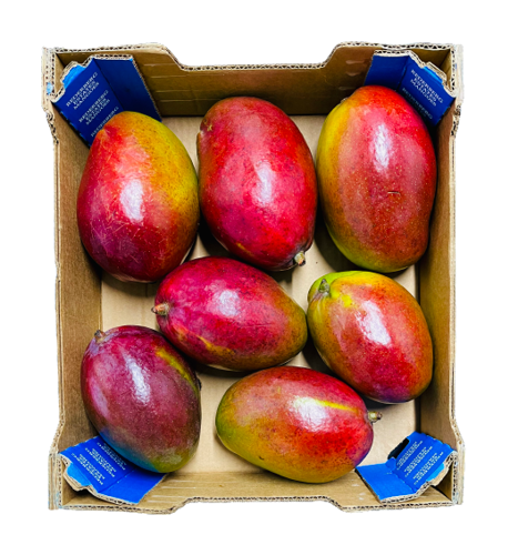Buy Mango Tommy Atkins Box Added