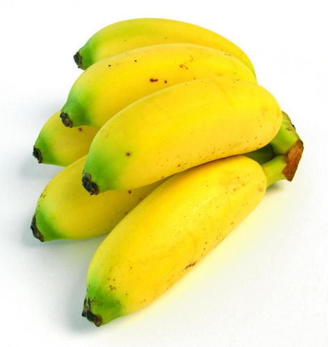 Buy Baby Banana Colombia Online