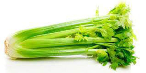 Picture of Celery 1 kg pack