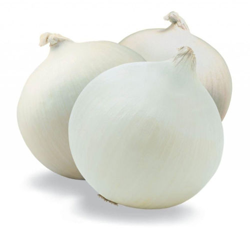 Buy Organic Onion White Online