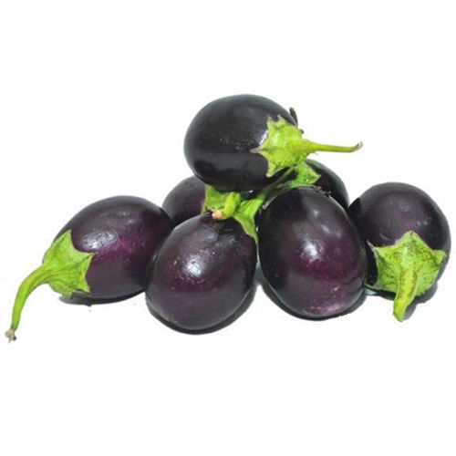 Buy Organic Eggplant Baby Online