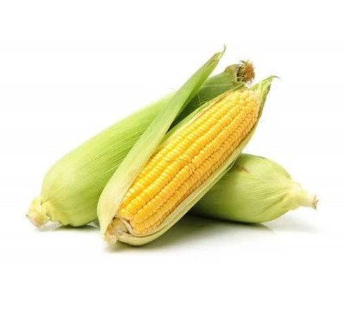 Buy Organic Sweet Corn Online