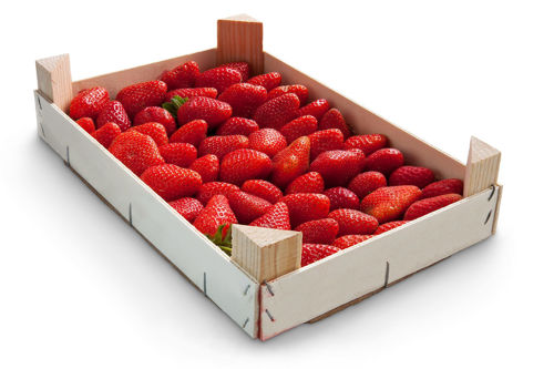 Buy Strawberries Box Online
