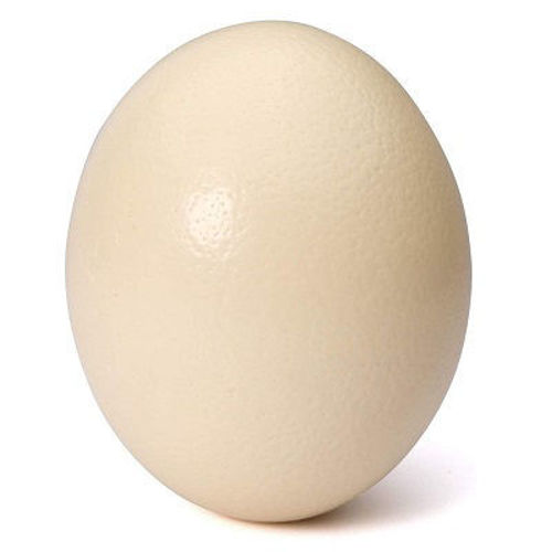 Farmila Ostrich Egg Online