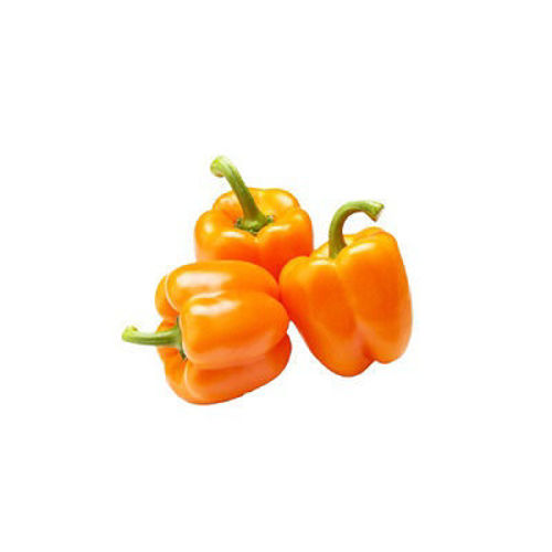 Baby Capsicum Orange Online