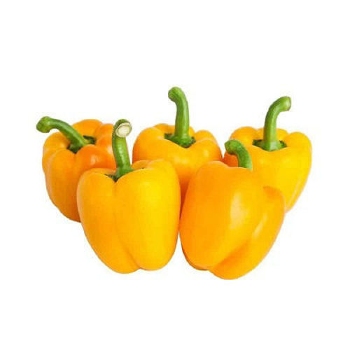 Baby Capsicum Yellow Online