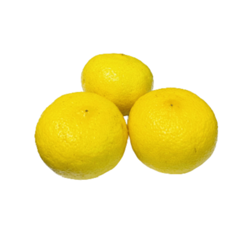 Mini Golden Pomelo Online