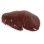 Hardwicks Lamb Liver (Frozen) Online