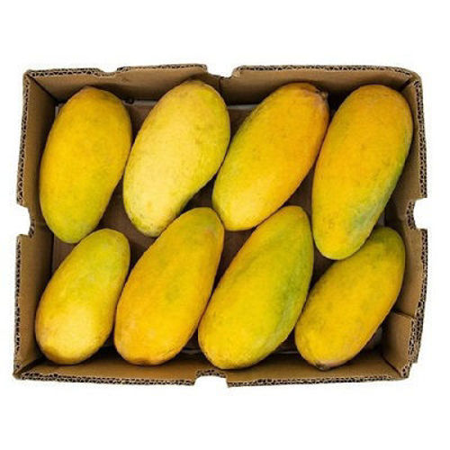 Buy Sindhri Mangoes Box Online