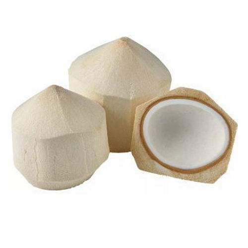 Buy Young Coconut Online