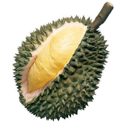Buy Durian Online