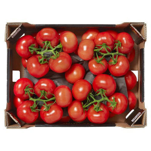 Buy Tomato Bunch Box Online
