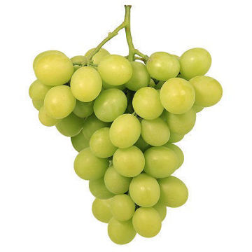 Fresh White Seedless Grapes from the USA – Sweet, juicy grapes rich in fiber and vitamin C. Order now at Farzana.ae for fresh delivery!