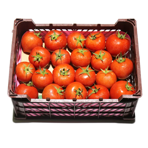 Buy Tomato Box Online