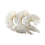 Buy Farmila Frozen PD Vannamei Shrimps IQF (51/60) Small Online