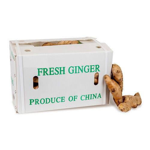 Buy Ginger Box Online