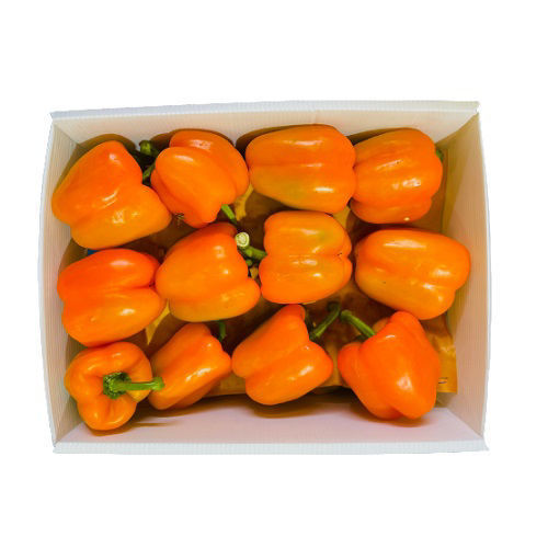 BUy Capsicum Orange Box Online