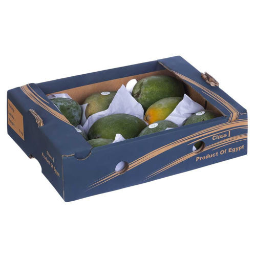 Buy Mango Egypt Box Online