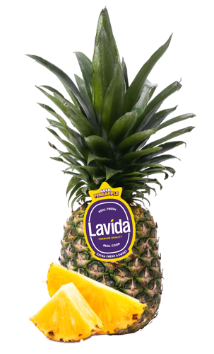 Buy Pineapple Lavida Online