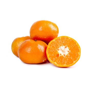 Picture of Mandarin Nadorcott Morocco