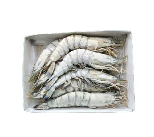 Picture of Black Tiger Prawns (U10)