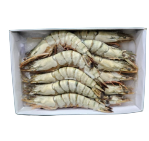 Picture of Black Tiger Prawns (U15)