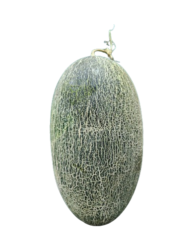 Buy Rock Melon Online