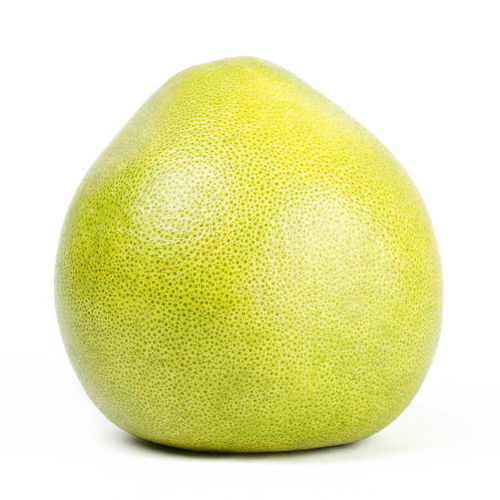 Buy Pomelo White Online
