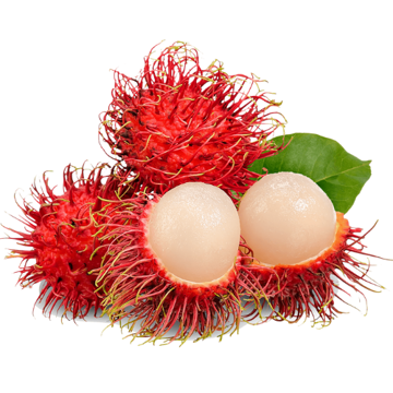 Fresh Rambutan Fruit – Exotic, Sweet-Tart Fruit Packed with Nutrients for Healthy Snacking Fresh Rambutan Fruit – Sweet, juicy, and packed with vitamin C and antioxidants for a healthy snack