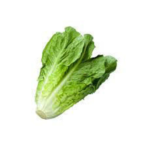 Buy Organic Lettuce Romaine Online