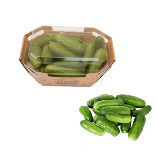 Fresh Snack Cucumber – Crisp, Healthy, and Perfect for Snacking | Available at Farzana.ae