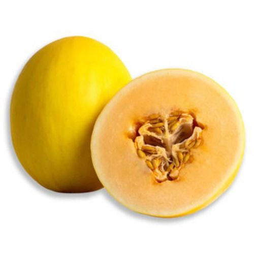 Picture of Orange Candy Melon