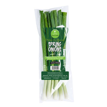 Picture of Leto Spring Onions Pack 70g UZB