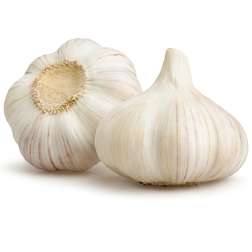 Garlic Online