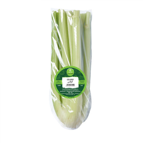Picture of Leto Celery