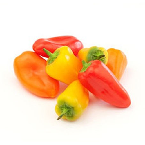 Picture of Organic Capsicum Mix Mini