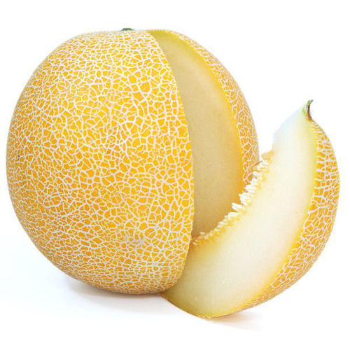 Fresh Rock Melon from Iran – Sweet, juicy, and hydrating, perfect for snacks, salads, and smoothies