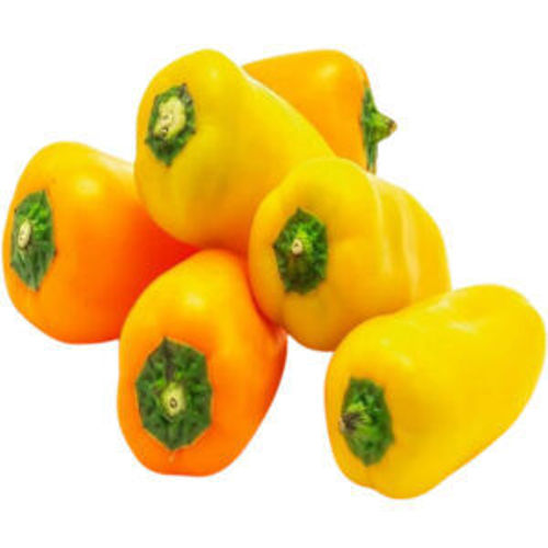 Picture of Organic  Mini Capsicum Yellow