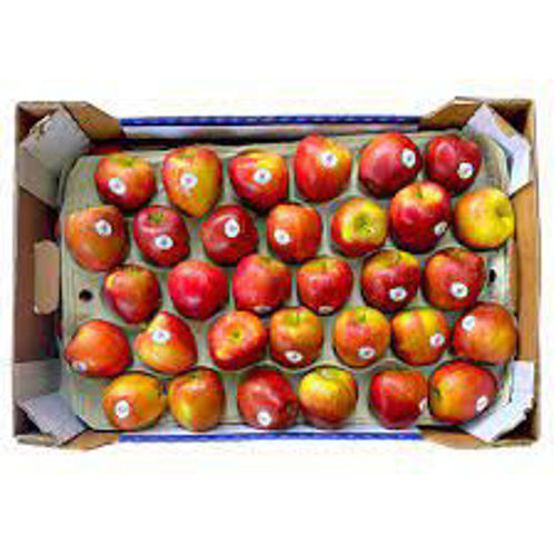 Picture of Apple South Africa Braeburn (1.5kgx8)
